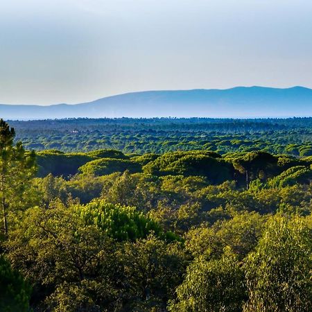 Grândola A Serenada Enoturismo מראה חיצוני תמונה