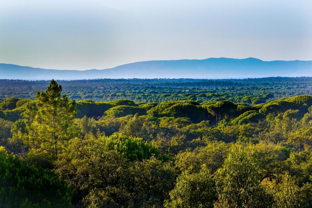 Grândola A Serenada Enoturismo מראה חיצוני תמונה