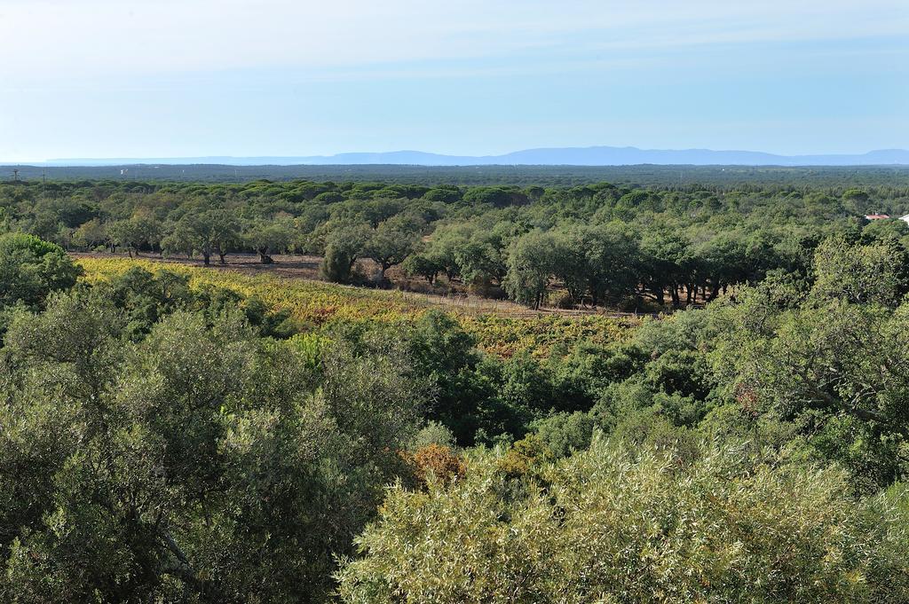 Grândola A Serenada Enoturismo מראה חיצוני תמונה